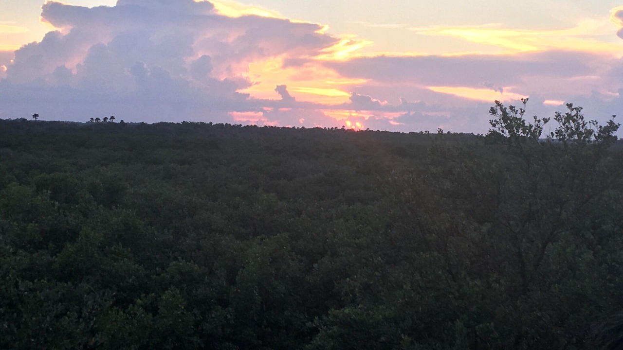 Photo of Outdoor in New Smyrna Beach