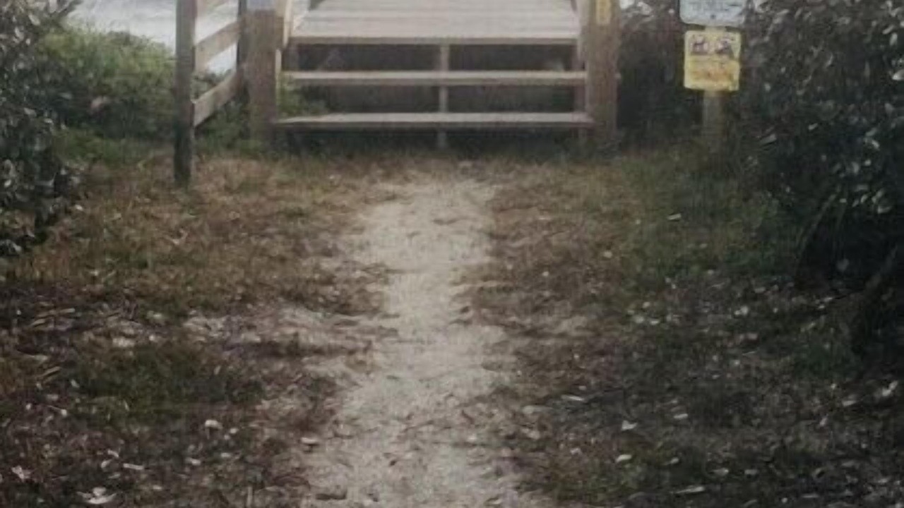 Photo of Others in New Smyrna Beach