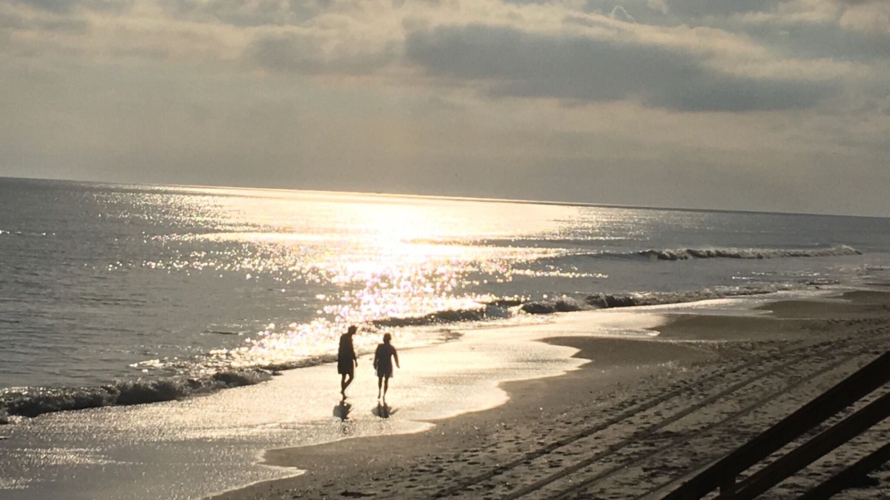 Photo of Others in New Smyrna Beach