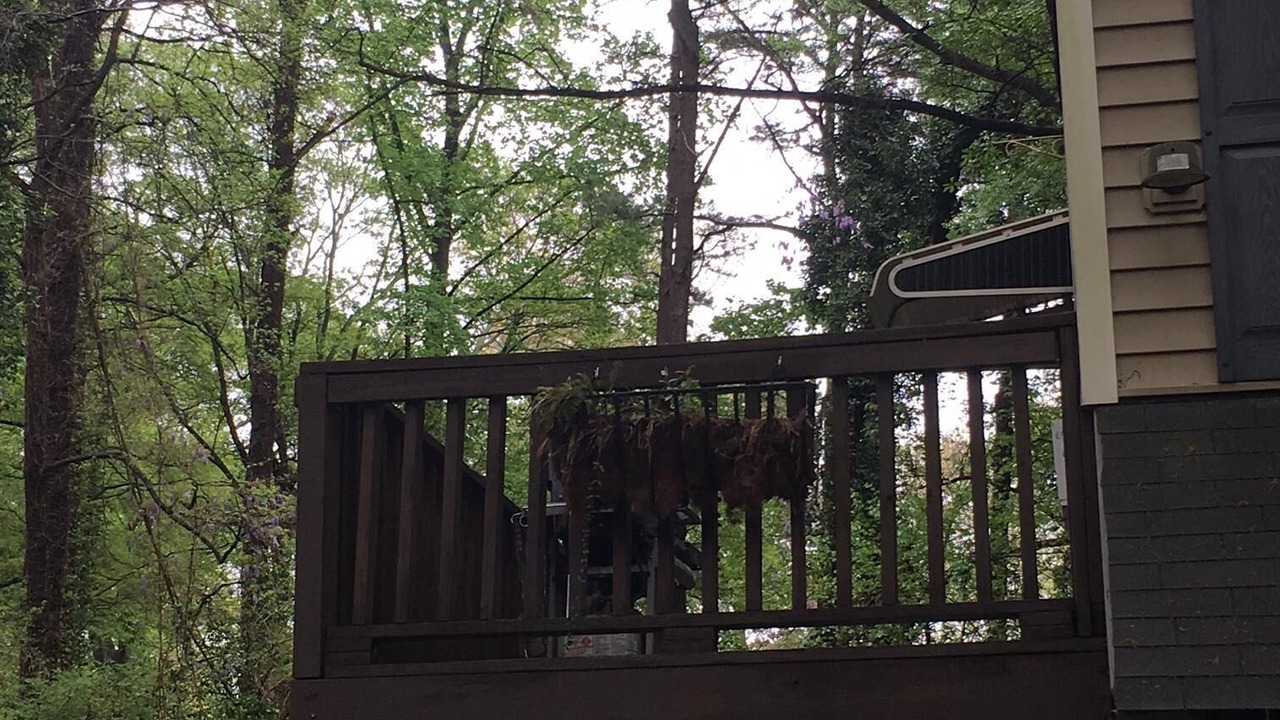 Photo of Outdoor in Decatur