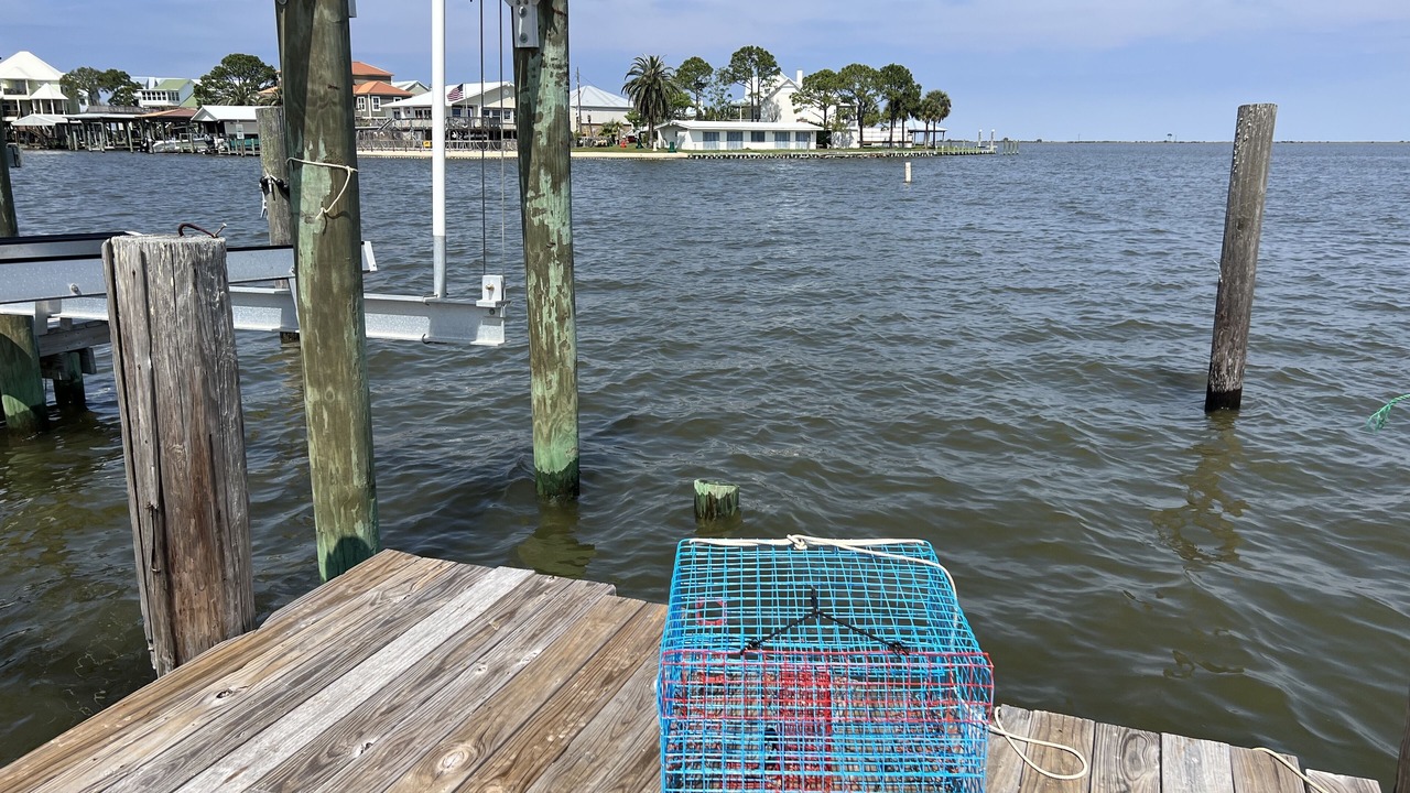 Photo of Outdoor in Indian Bay