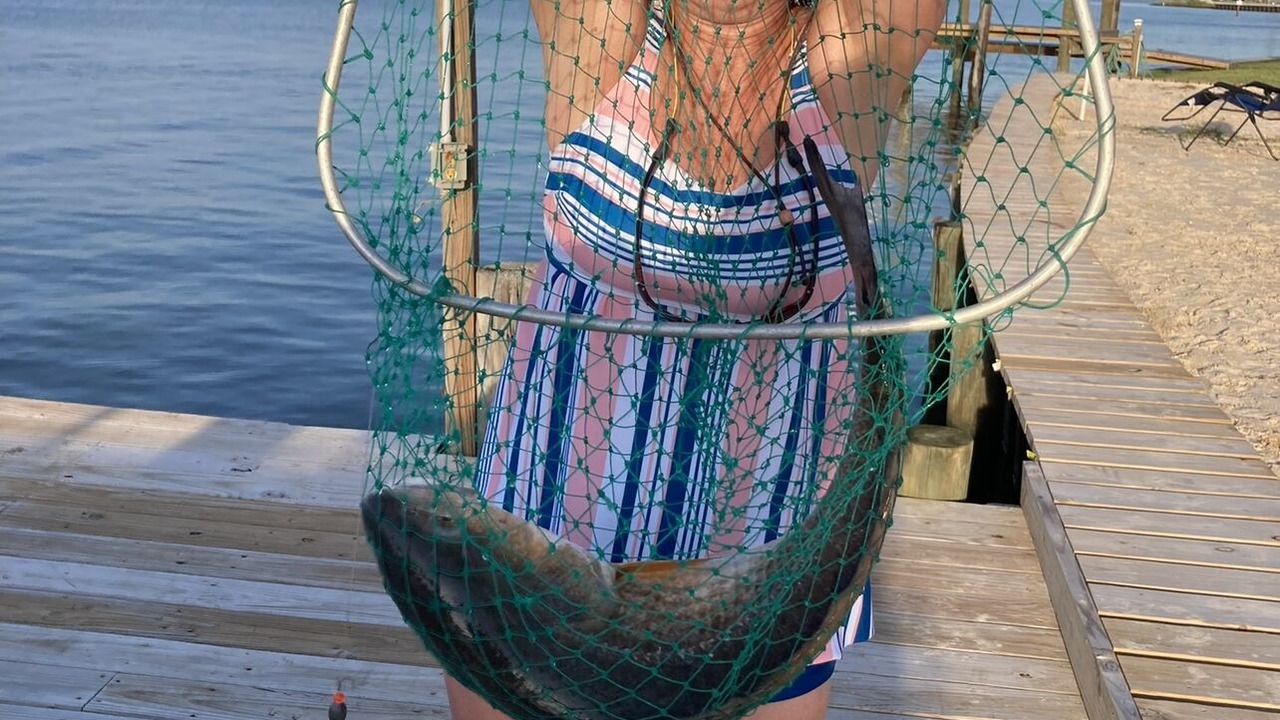 Photo of Others in Indian Bay