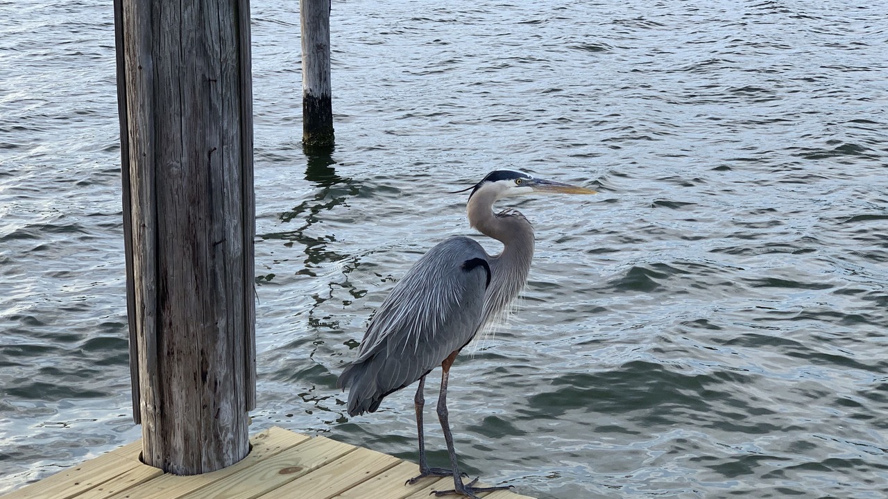 Photo of Outdoor in Indian Bay