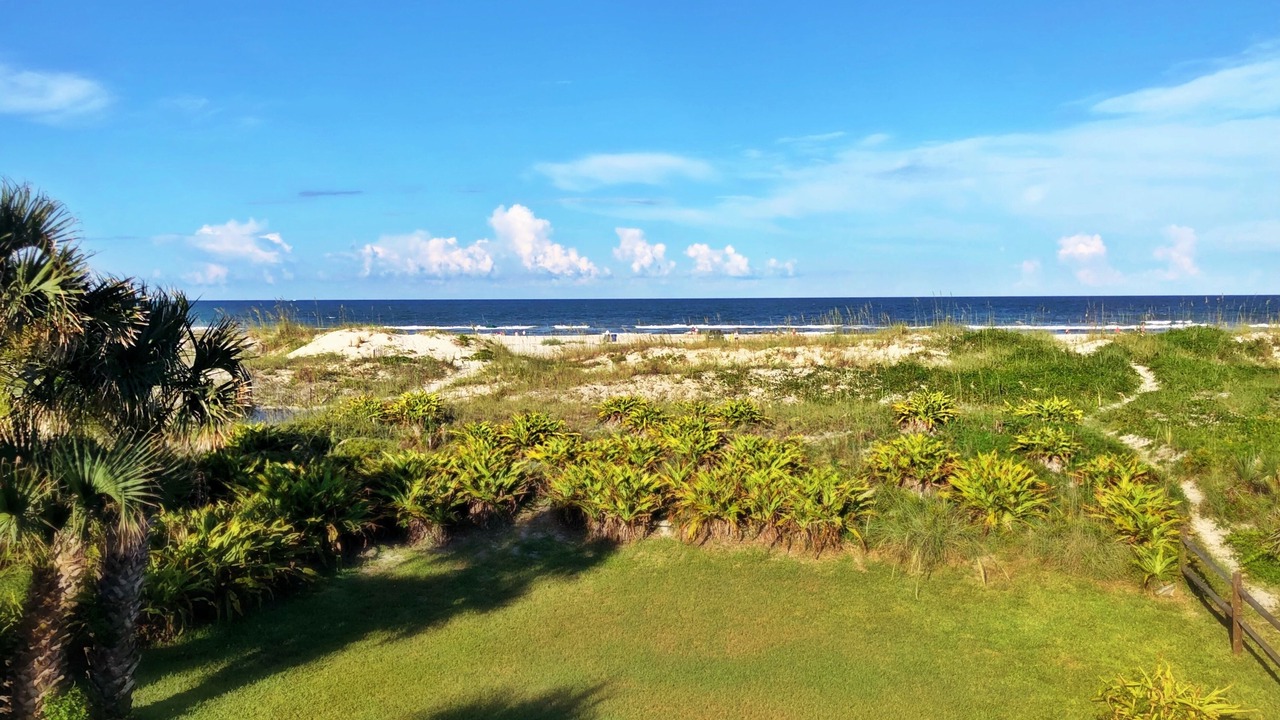 Photo of Others in St. Augustine Beach
