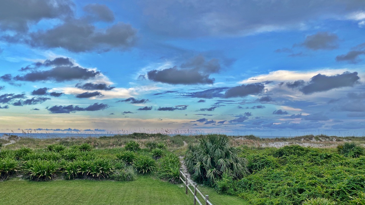 Photo of Others in St. Augustine Beach