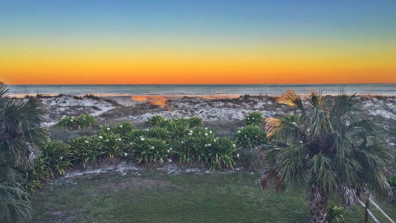 Photo of Others in St. Augustine Beach