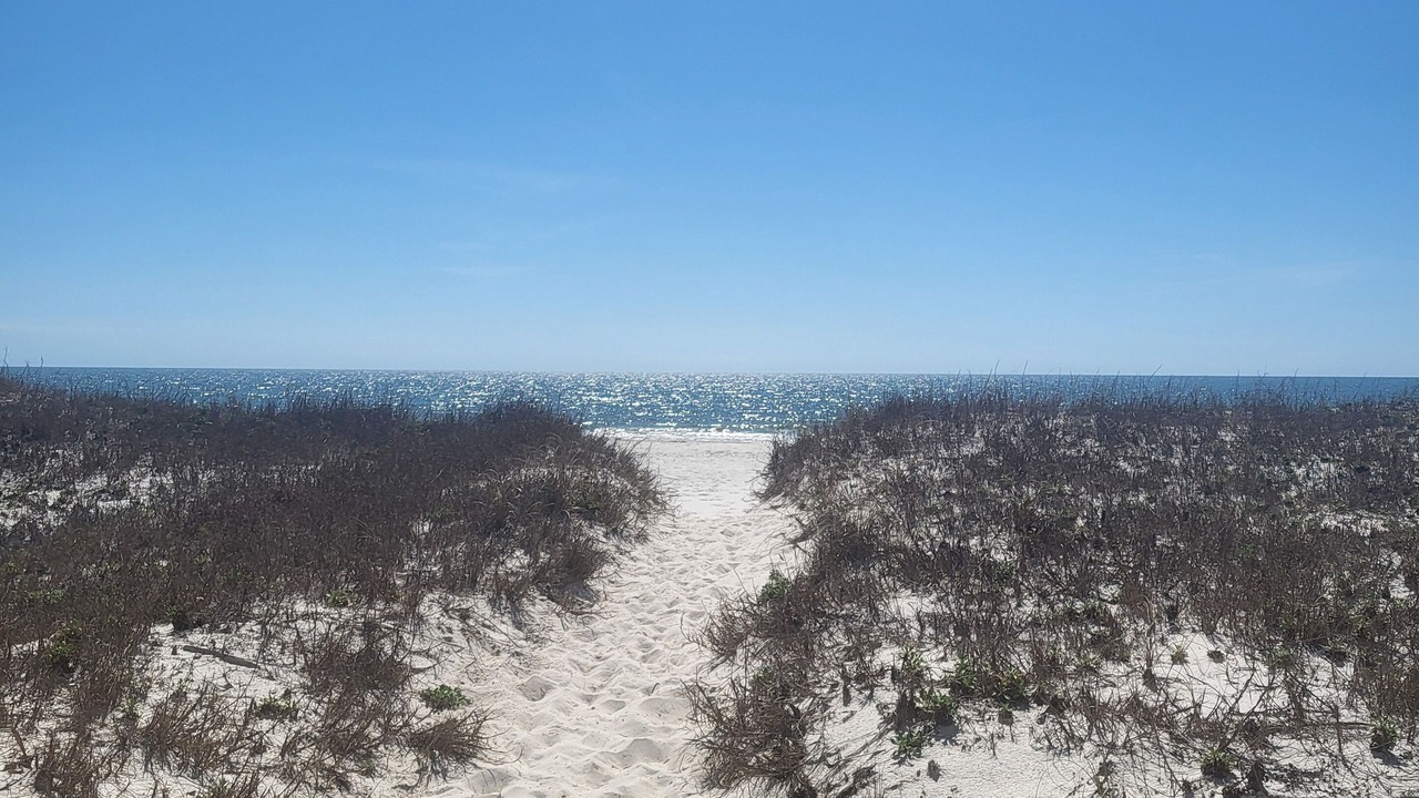 Photo of Others in Gulf Shores