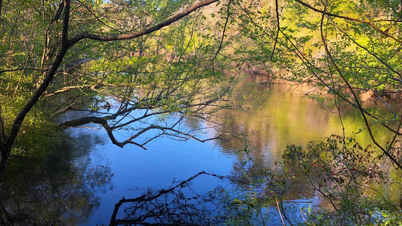 Photo of Outdoor in Perkinston