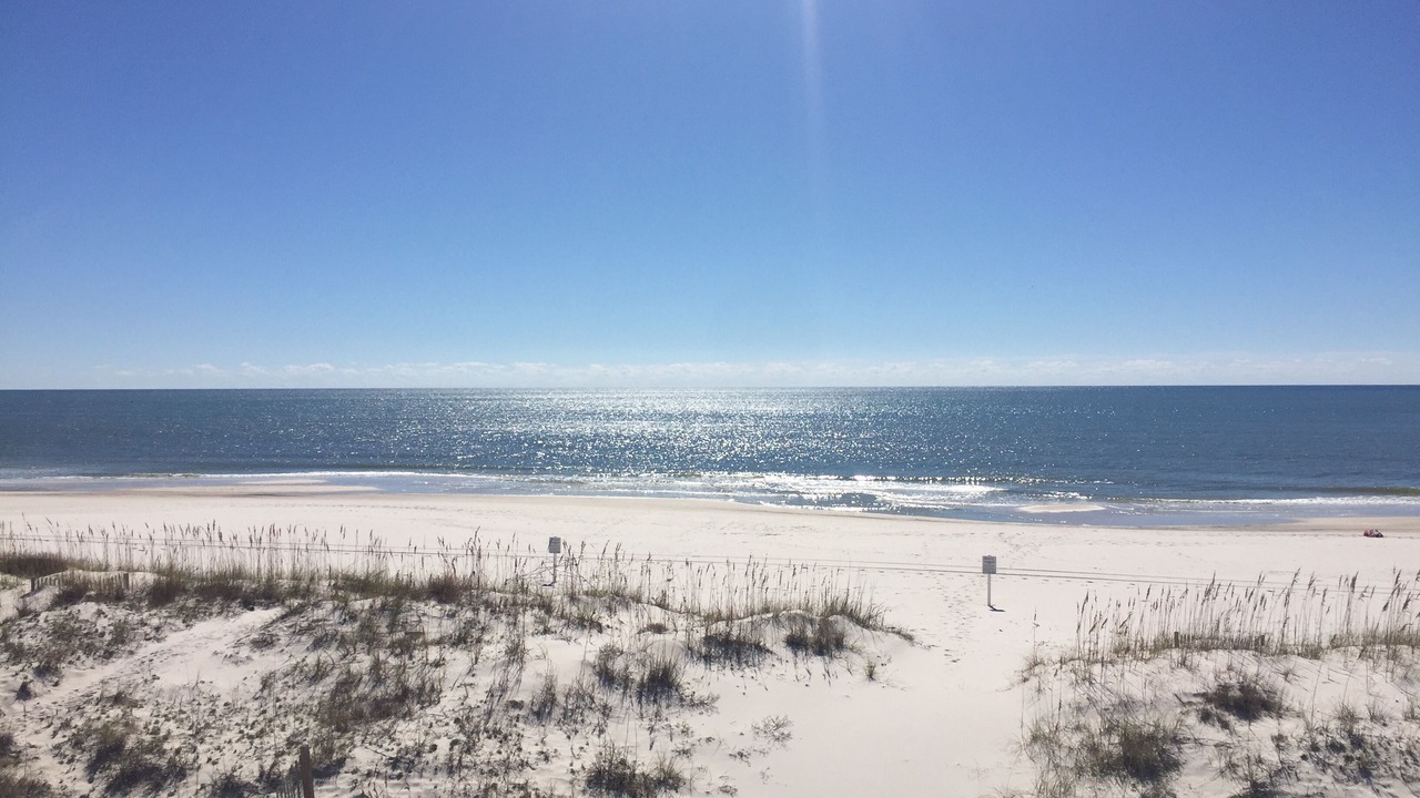 Photo of Others in Gulf Shores