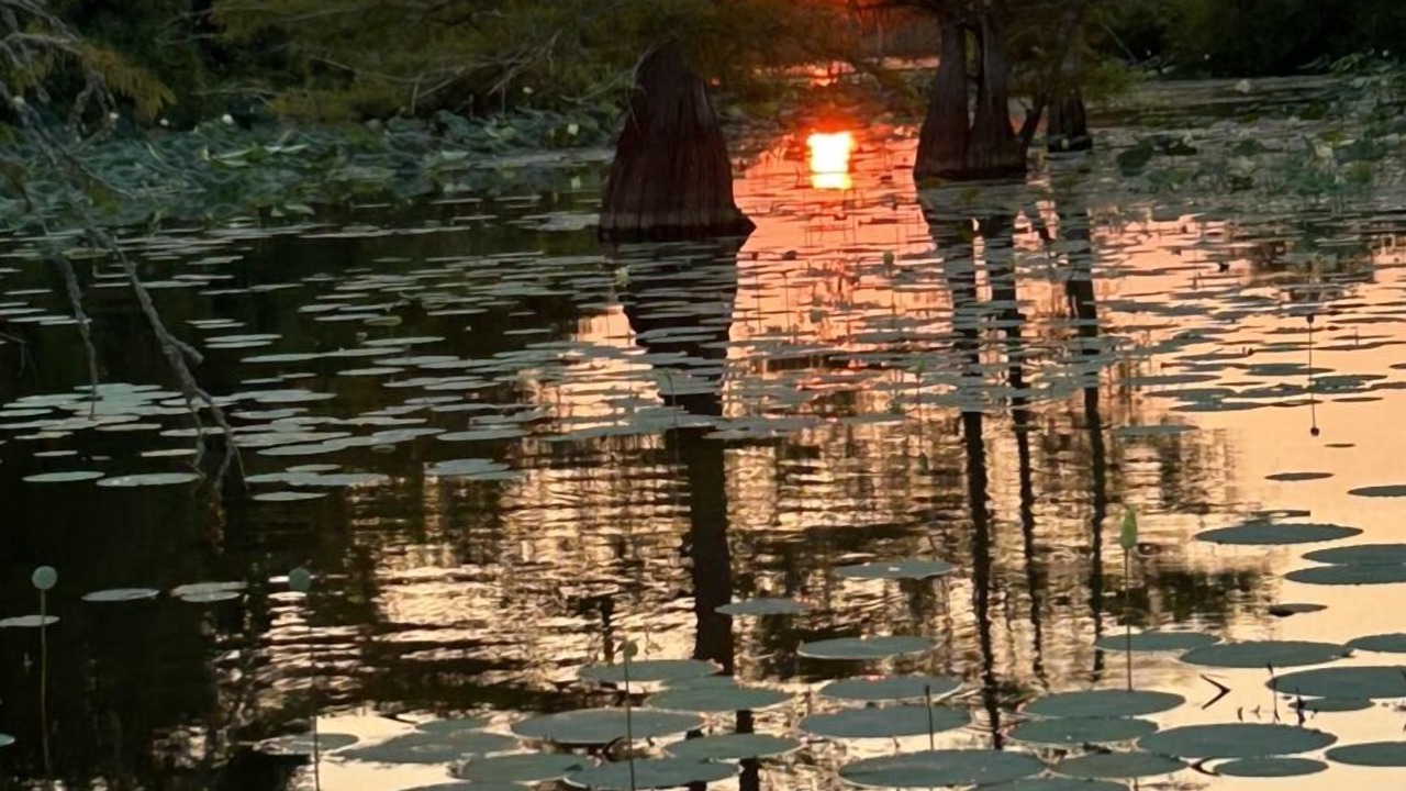 Photo of Others in De Soto Parish