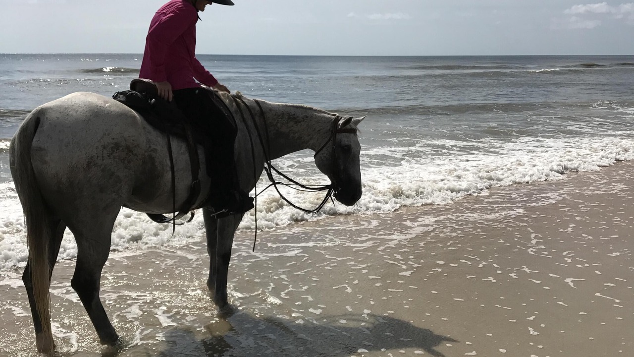 Photo of Others in Palm Coast