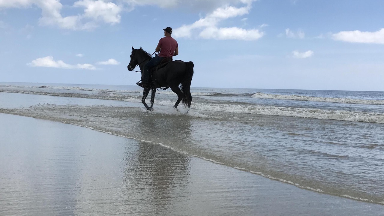 Photo of Others in Palm Coast