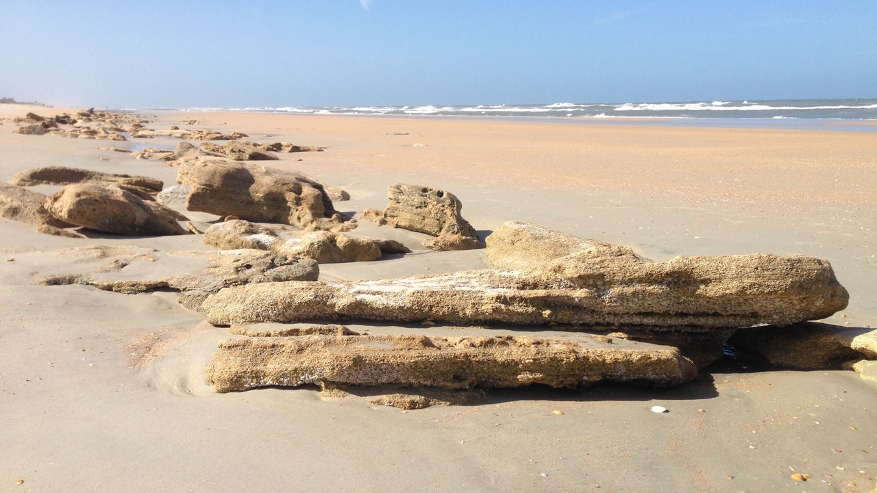 Photo of Others in Palm Coast