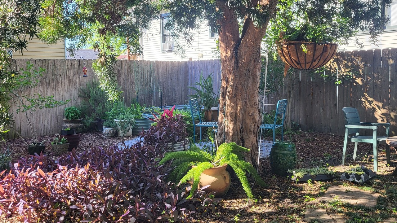 Photo of Outdoor in Broadmoor