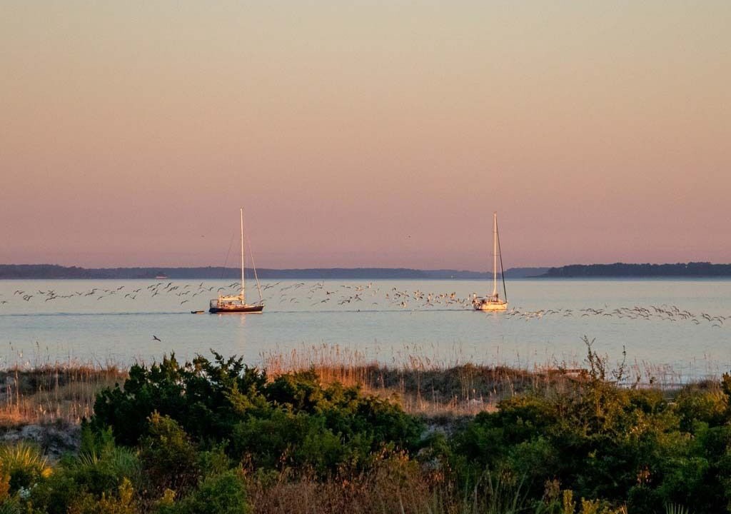 Photo of Others in Tybee Island
