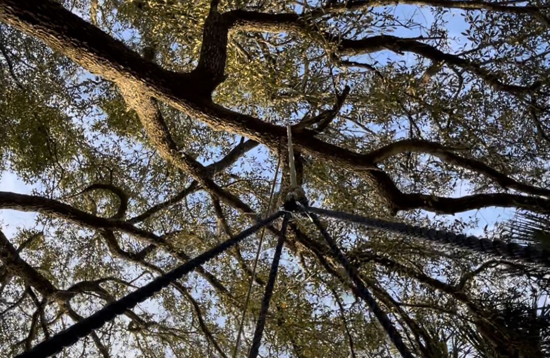 Photo of Outdoor in Elberta