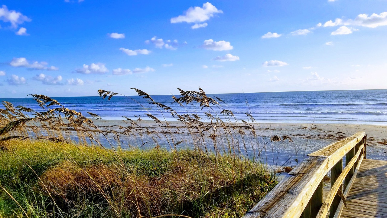 Photo of Others in Butler Beach