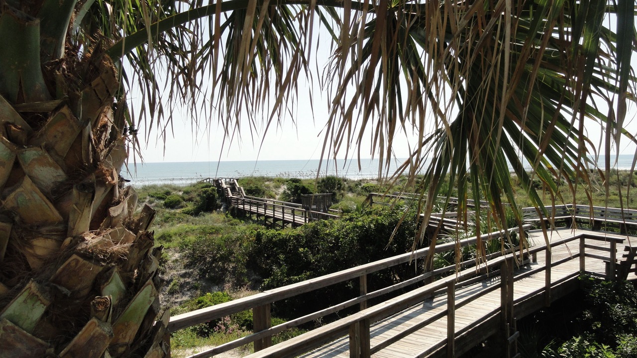 Photo of Others in Butler Beach