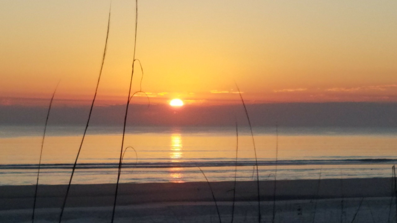 Photo of Others in Butler Beach