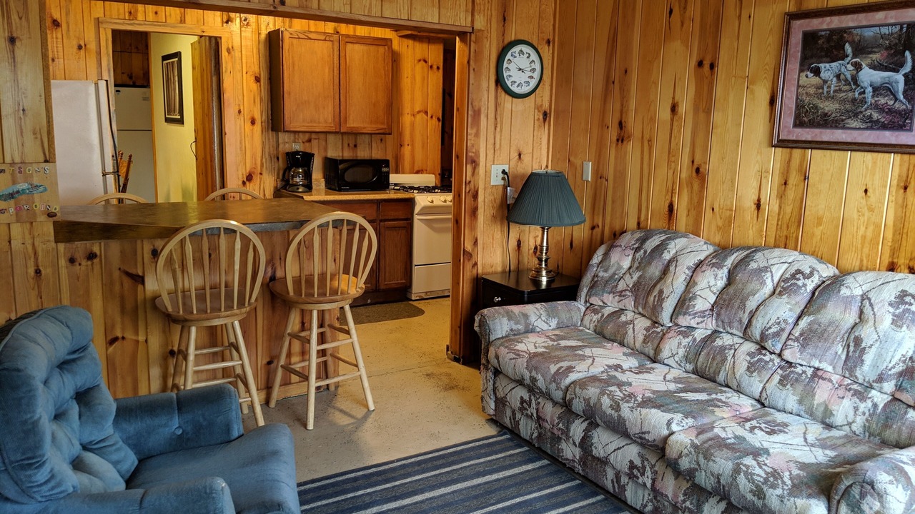 Photo of Livingroom in Manistee