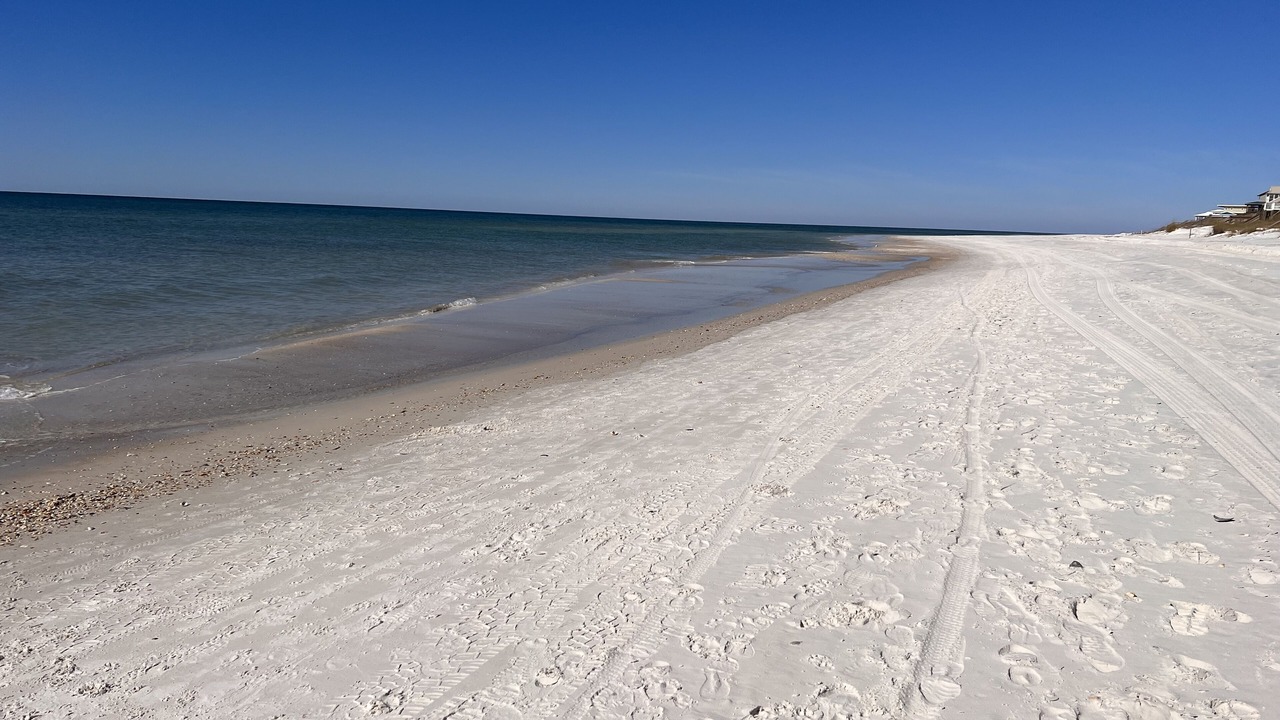 Photo of Others in Cape San Blas