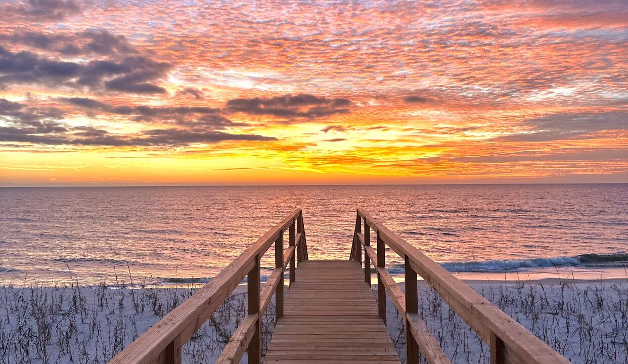 Photo of Others in Cape San Blas