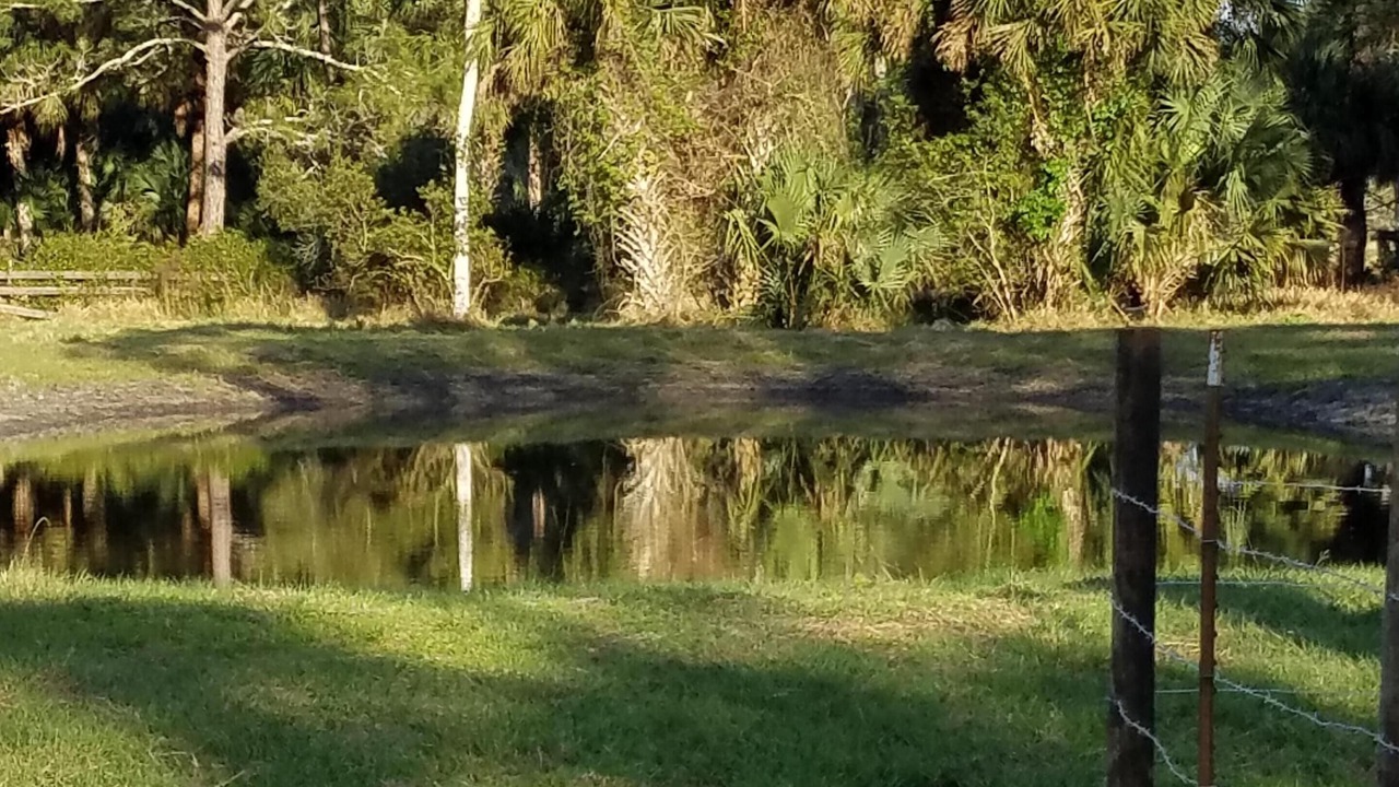 Photo of Outdoor in St. Cloud