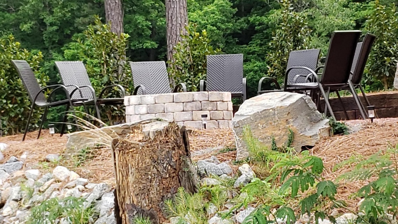 Photo of Others in Pine Level