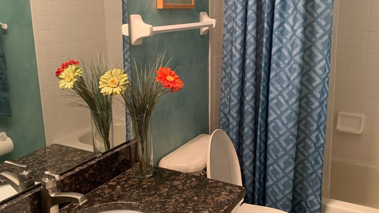 Photo of Bathroom in Mount Dora