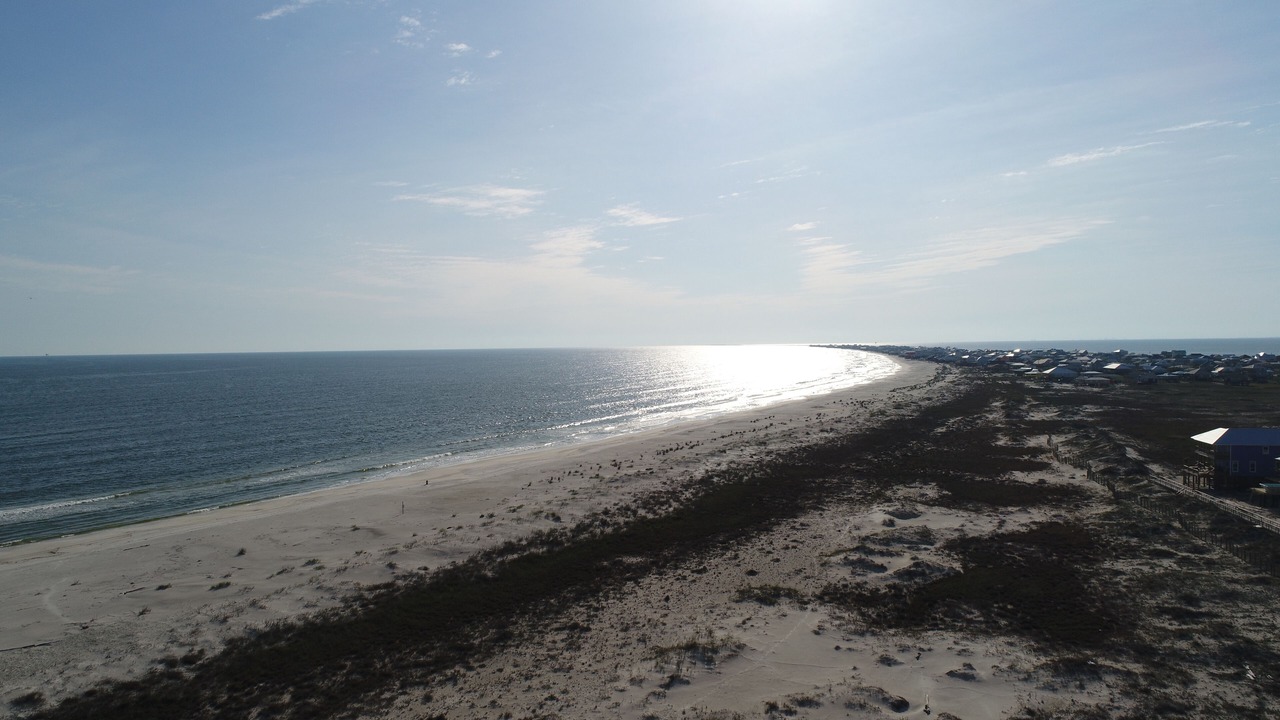 Photo of Others in Dauphin Island