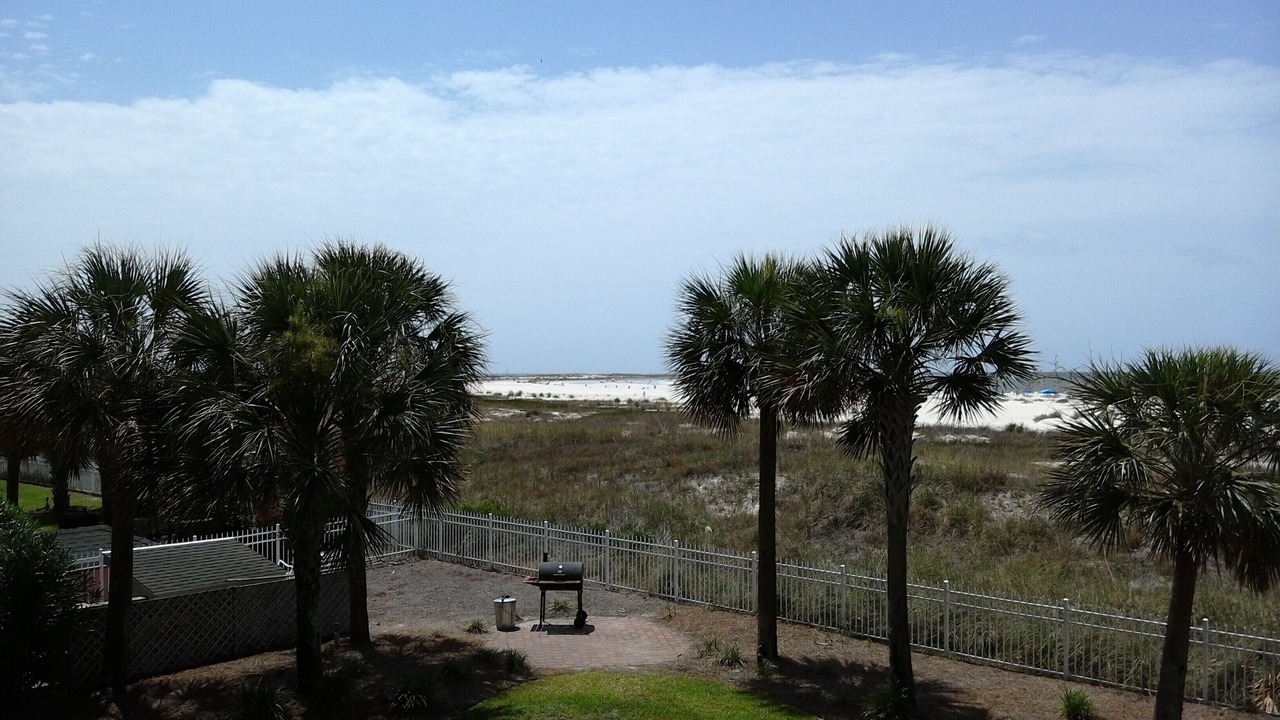 Photo of Others in Dauphin Island