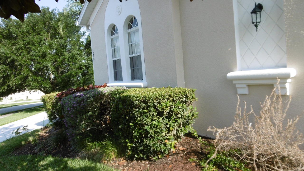 Photo of Outdoor in Haines City