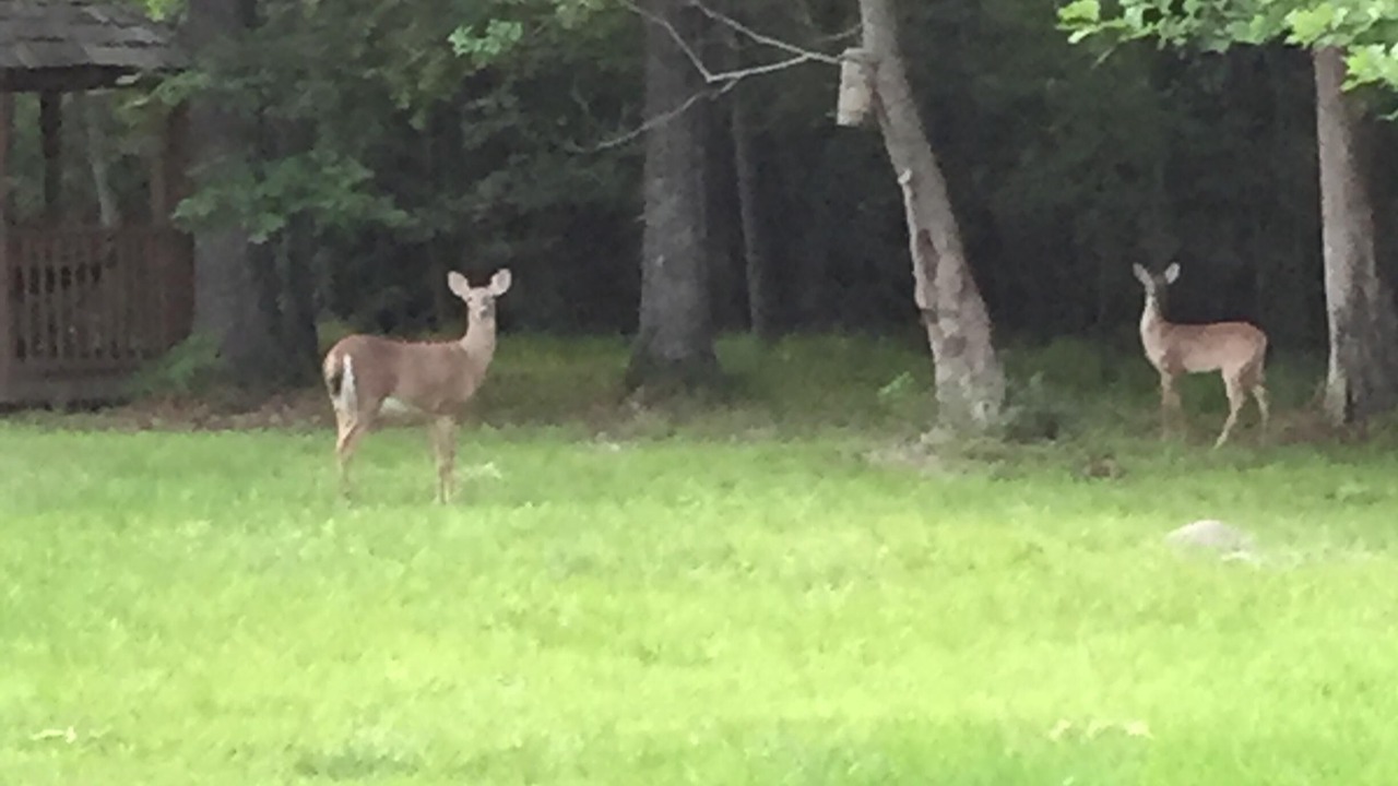 Photo of Outdoor in Madisonville
