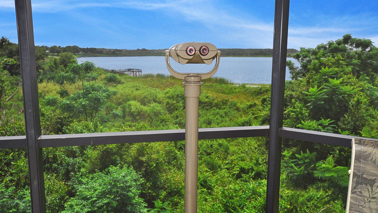 Photo of Outdoor in Haines City