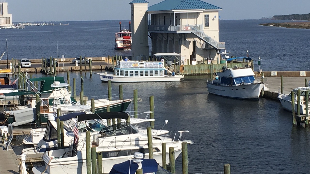 Photo of Others in Ocean Springs