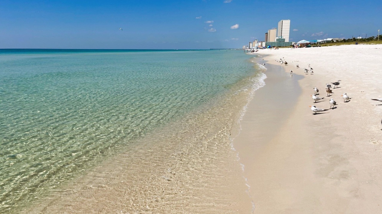 Photo of Others in Bid-a-wee Beach