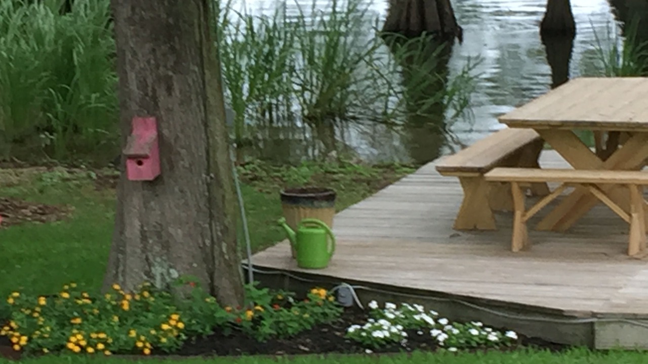 Photo of Outdoor in St. Joseph