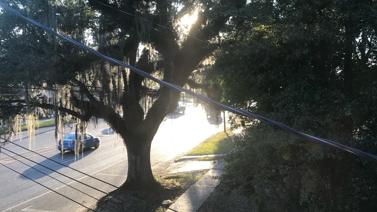 Photo of Outdoor in Ponchatoula