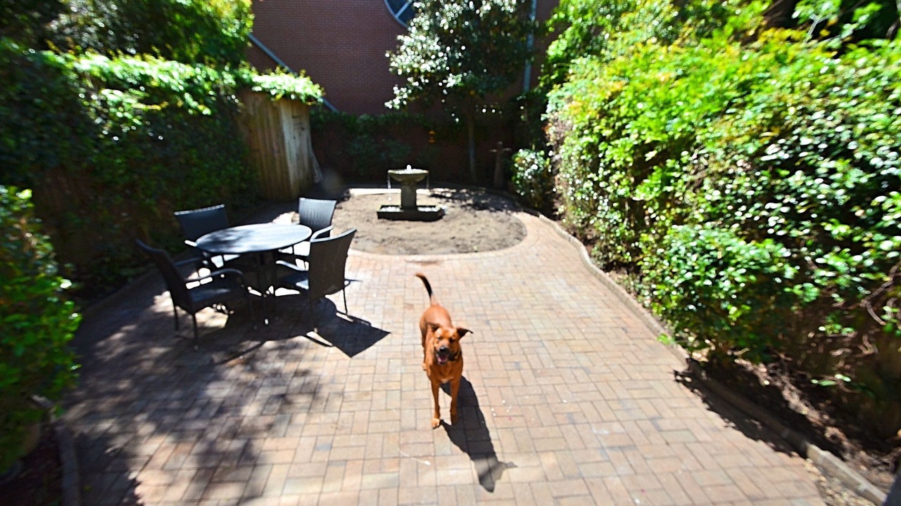 Photo of Outdoor in Beach Institute