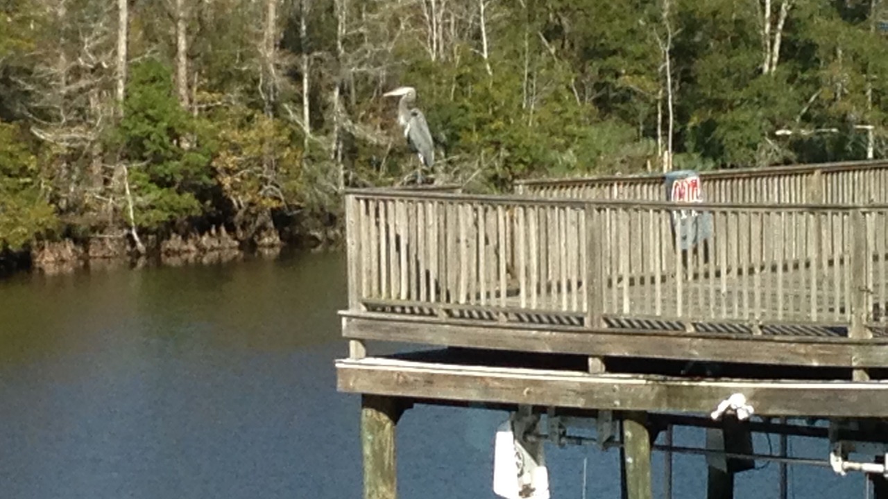 Photo of Outdoor in Escatawpa