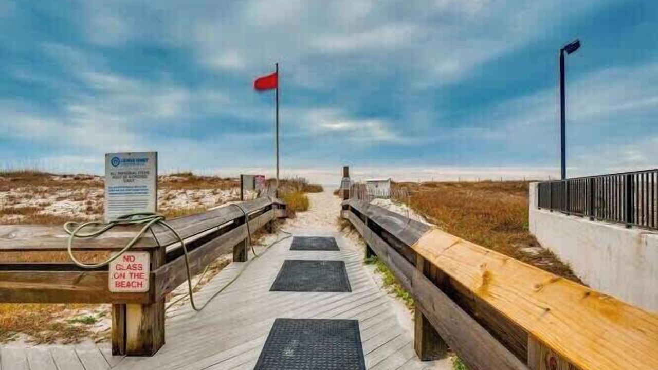 Photo of Others in Gulf Shores