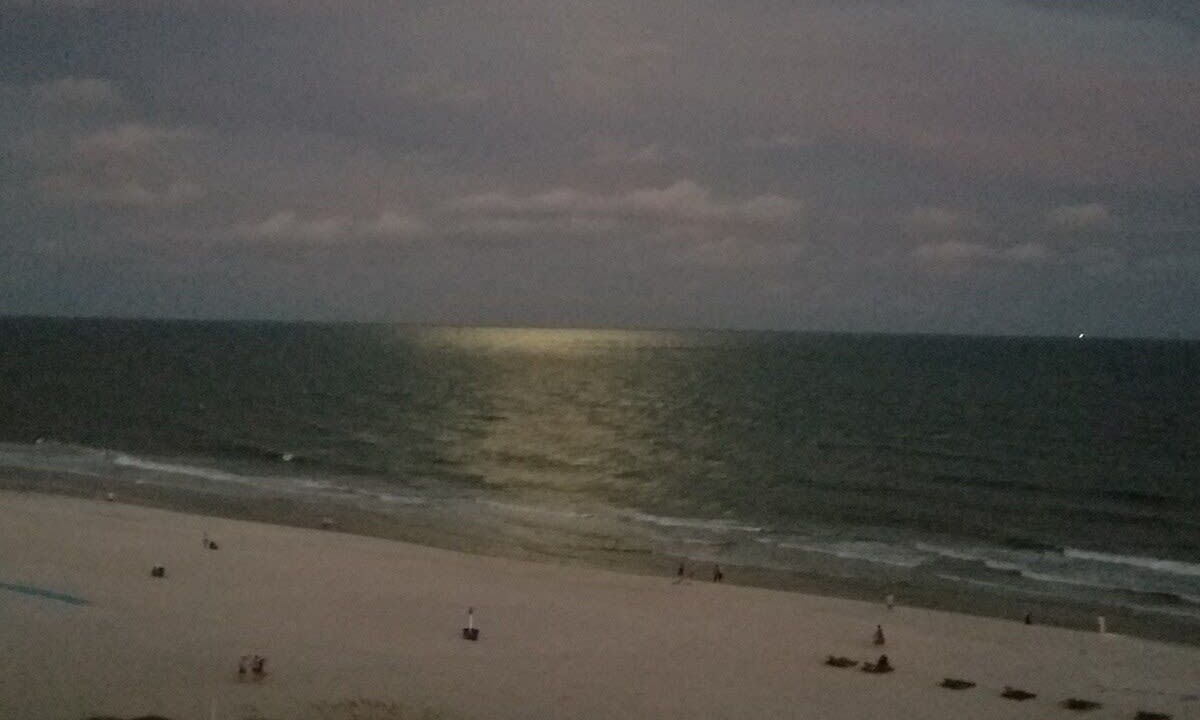 Photo of Others in Gulf Shores