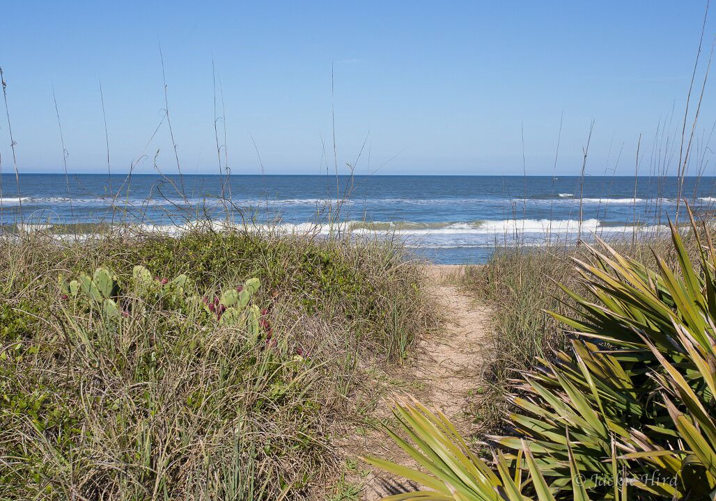 Photo of Others in Vilano Beach