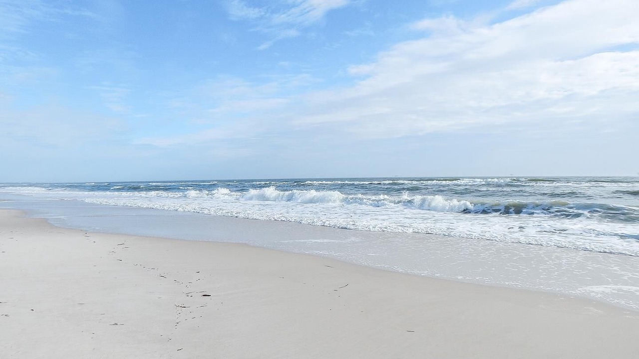 Photo of Others in Dauphin Island