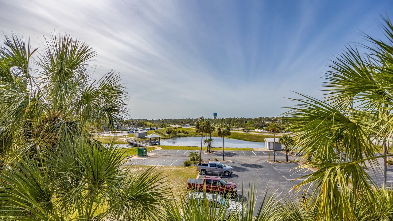 Photo of Outdoor in Ono Island