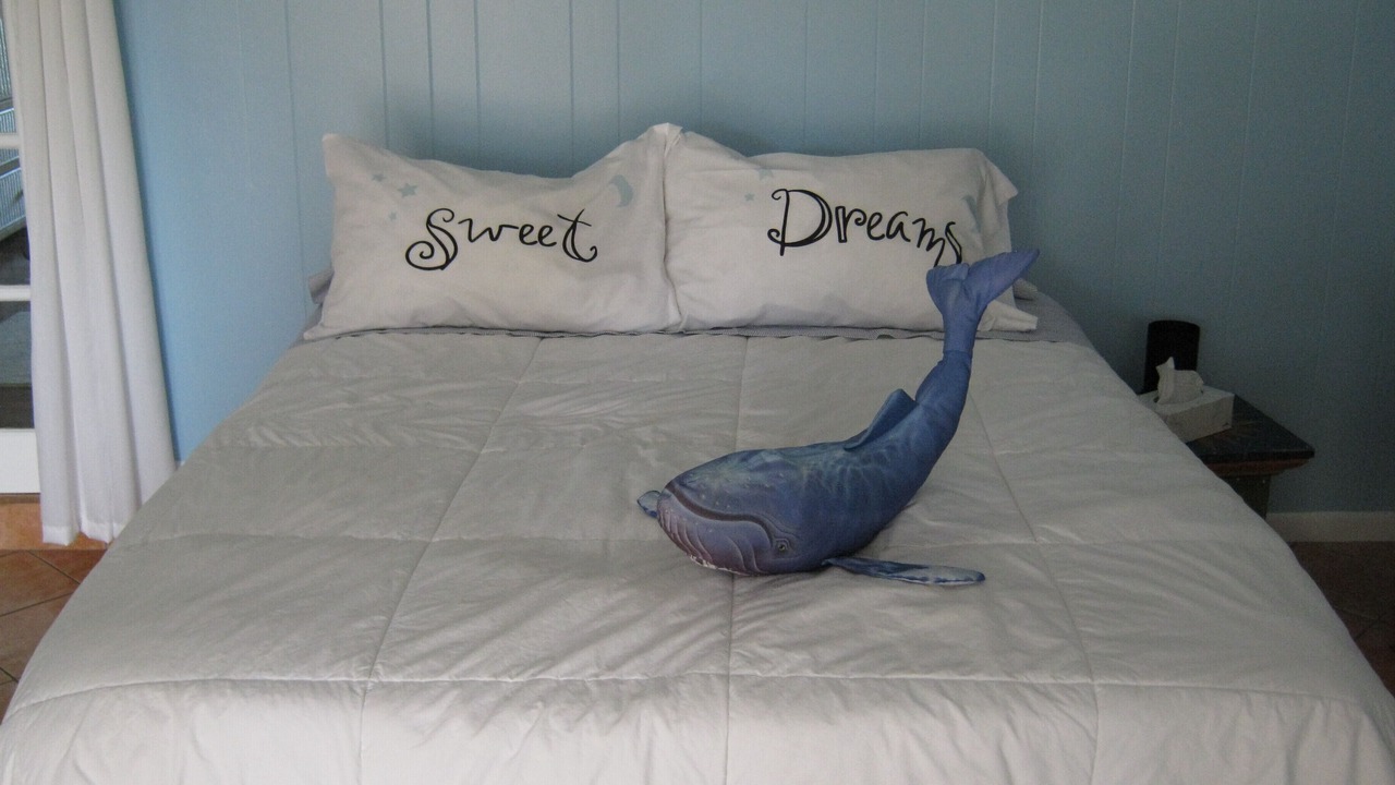 Photo of Bedroom in Saint Augustine Shores