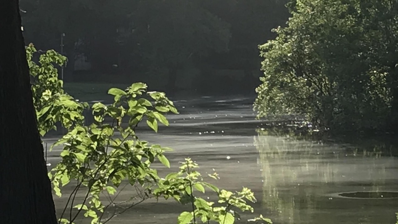 Photo of Outdoor in George County