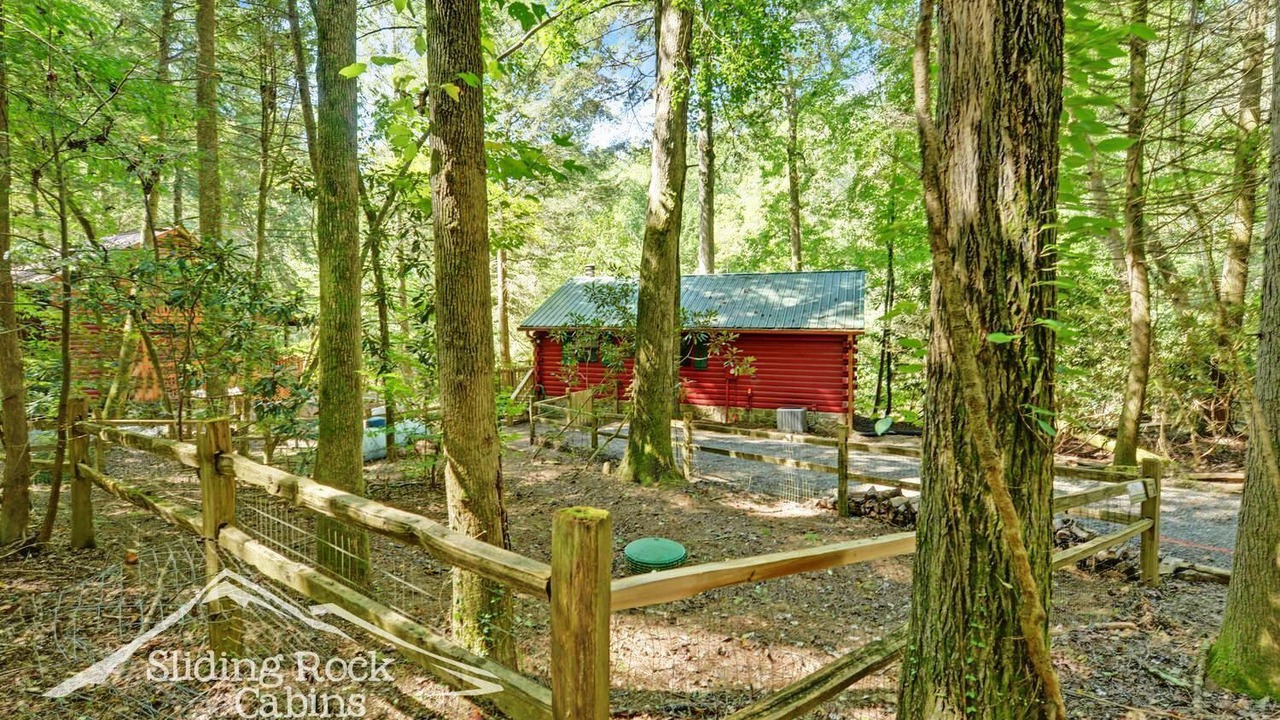 Photo of Outdoor in Ellijay