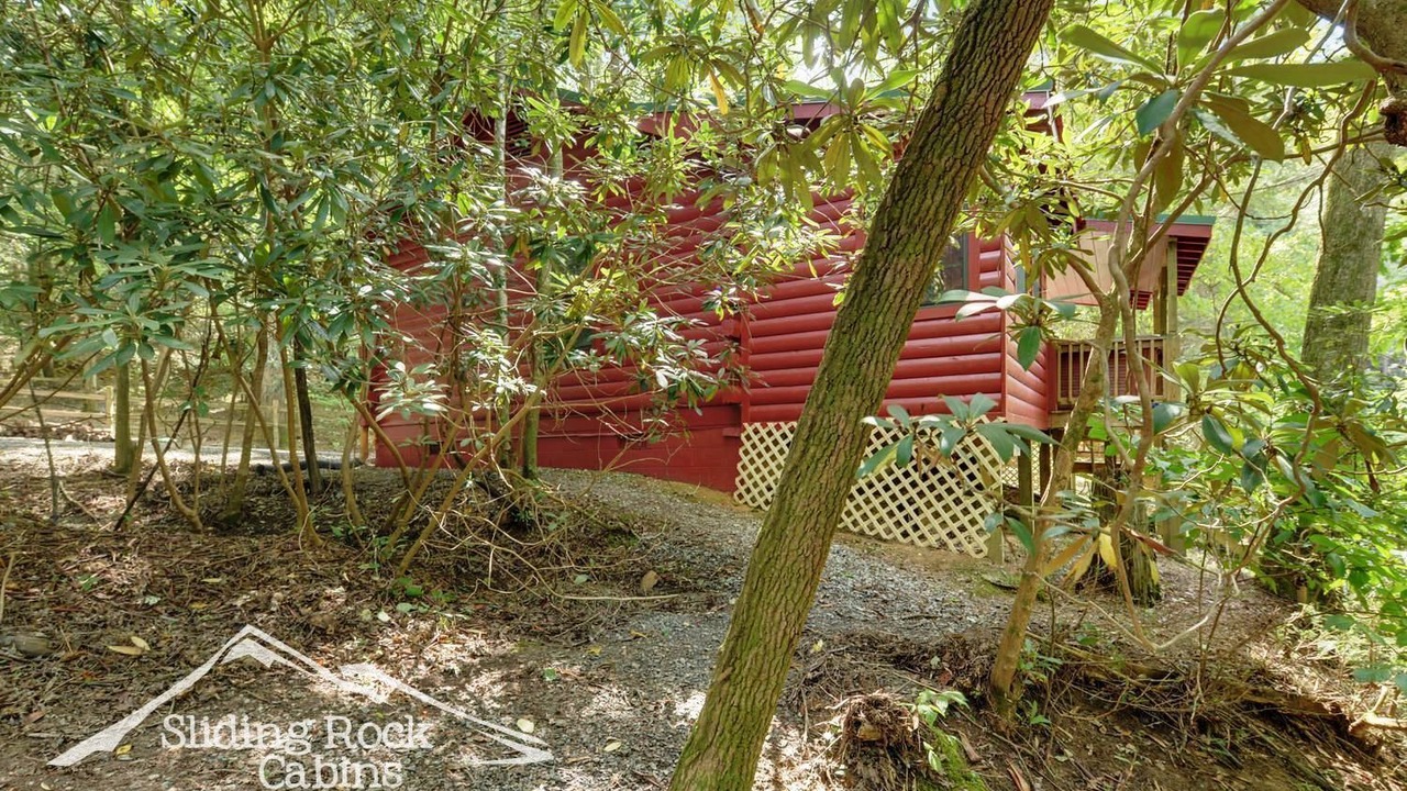 Photo of Outdoor in Ellijay