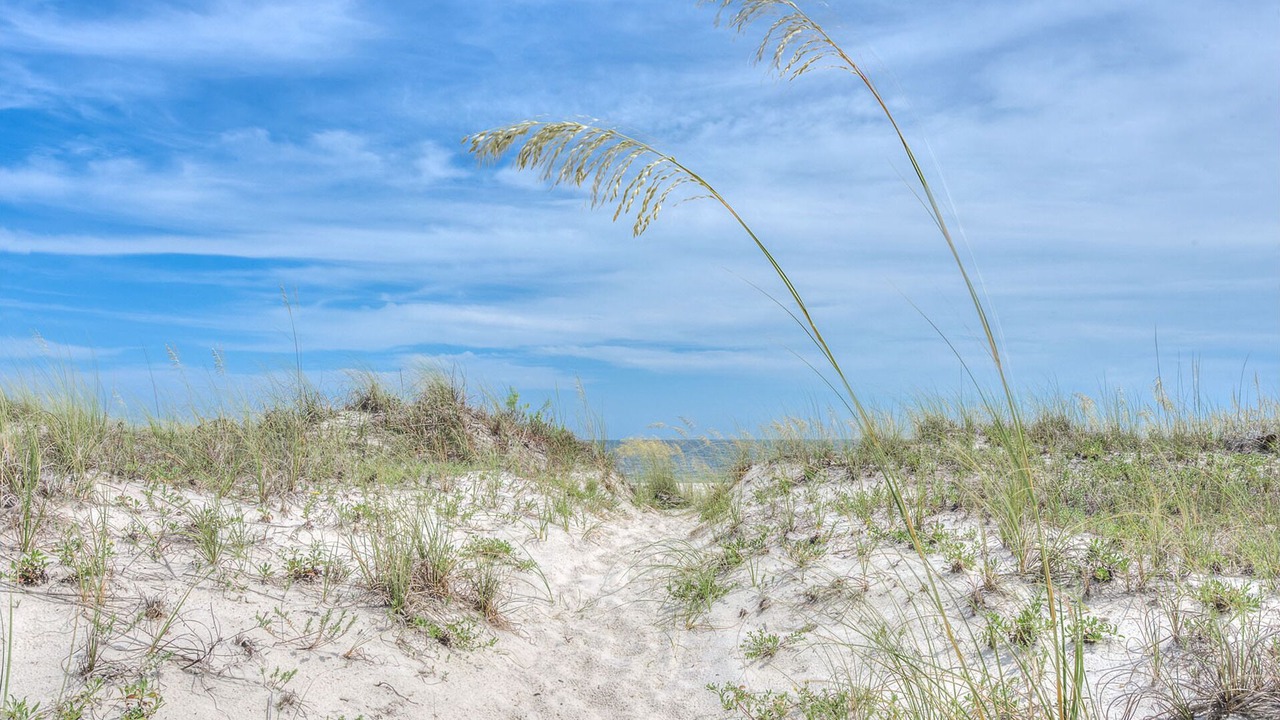 Photo of Others in Gulf Shores